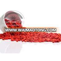 China conventional dried goji berries for sale