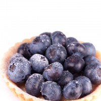 fresh blueberries and frozen fruits supplier for sale